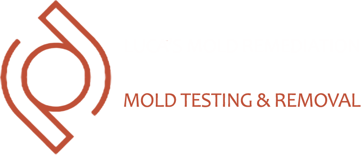 Boca Raton Mold Remediation by Luca